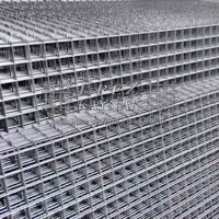 Galvaniz Hasır Tel 9